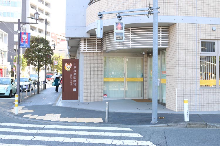 次の交差点の右角に当院が見えてきます。